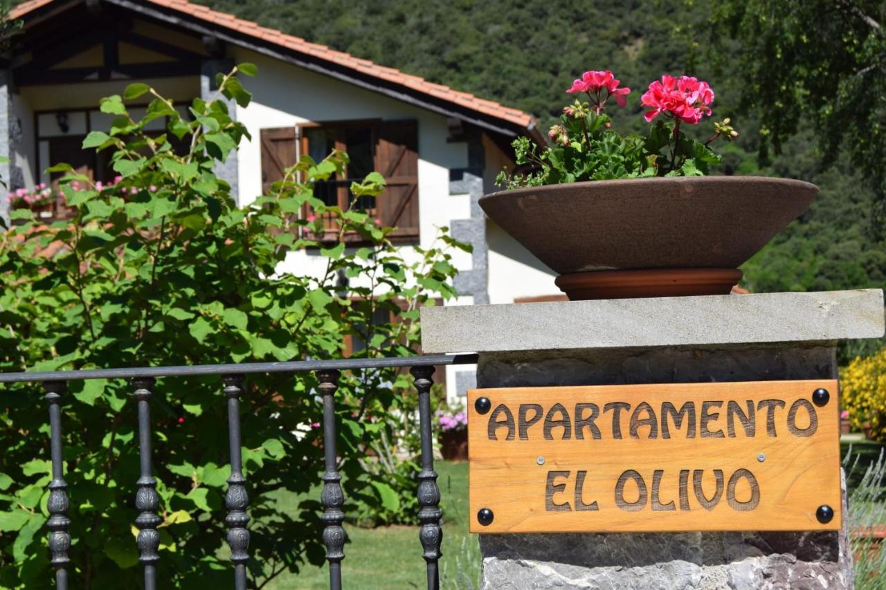 Excepcional Apartamento El Olivo オヘド エクステリア 写真