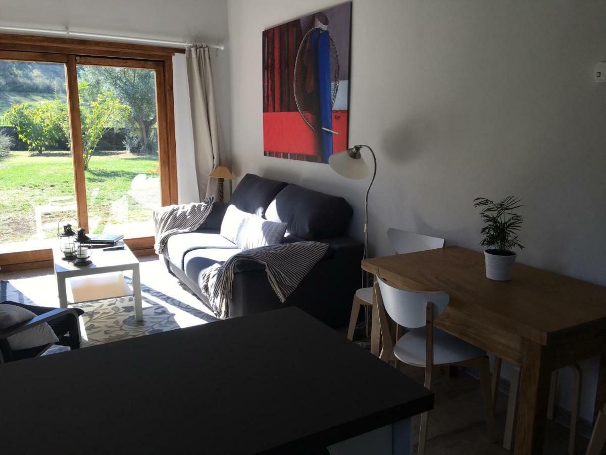 Excepcional Apartamento El Olivo オヘド エクステリア 写真